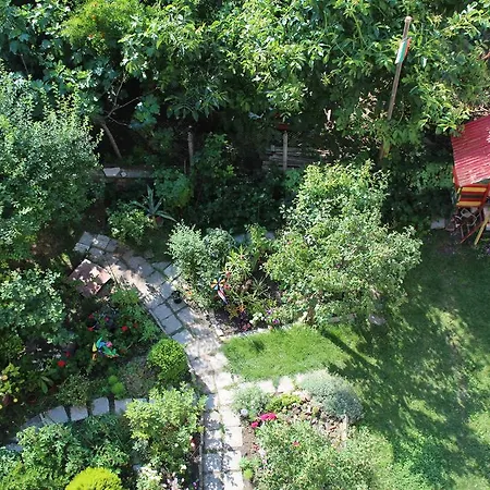 Guest house Family Kostovi 2*